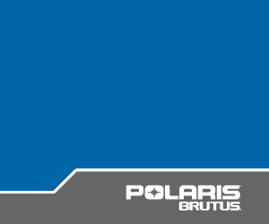 Polaris Brutus, learn more >