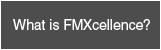 What is FMXcellence