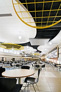 Armstrong open ceiling