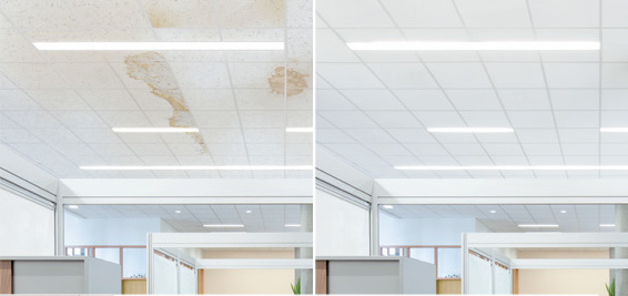 Ceiling I.D.