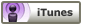 Download Podcast to iTunes