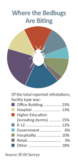 Where the Bedbugs Are Biting