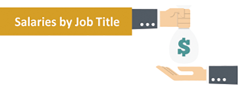 Salaries by Job Title graphic