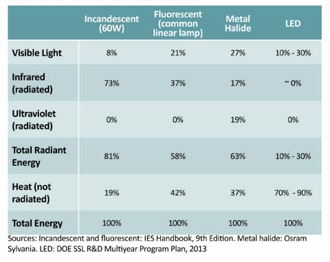 Energy waste in common light sources graphic