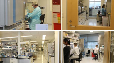 Fred Hutchinson Cancer Research Center