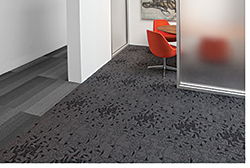 Carpet: Tandus Flooring