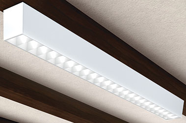 Fluorescent Luminaire: Alera Lighting