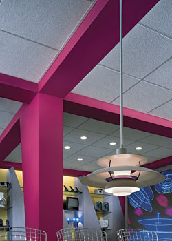 Frost ClimaPlus Ceiling Panels: USG Corp