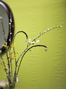 Wallcovering: Vitrulan Corp.