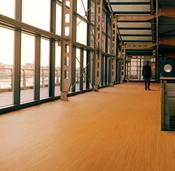 Resilient Flooring: Forbo Flooring