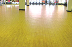 SignaFlor, SignaFlex, SignaFlexAqua, RubberDeck and TempoTile: Signature Sports Flooring