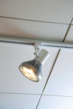 LED Lamp: Cree Inc.