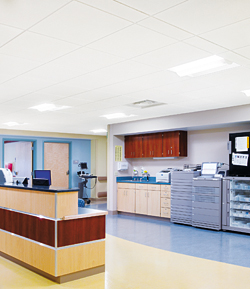Ceiling Panels: Armstrong Ceiling Systems