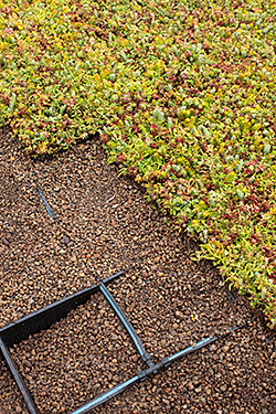 Vegetative Roofing System: Firestone Building Products Co.