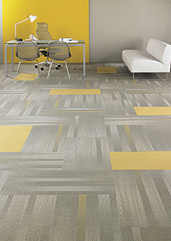 Carpet Tile: Shaw Contract Group
