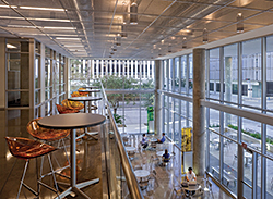 Ceiling Tiles: pinta acoustic inc.