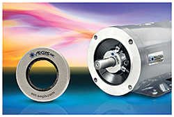 Bearing Protection Ring: Electro Static Technology (AEGIS)
