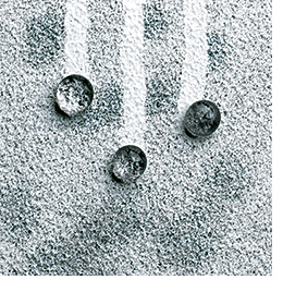 Exterior Wall Coating: Sto Corp.