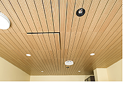 Ceiling Panels: CertainTeed Corp.