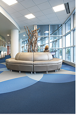 Vinyl Sheet Flooring: Johnsonite