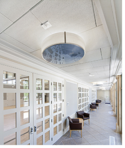 Ceiling Panel: pinta acoustic inc.