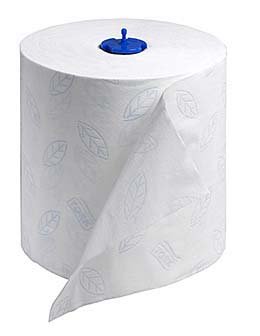 Hand Towels: SCA Tissue North America