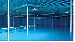 Polyurea Systems: VersaFlex Inc.