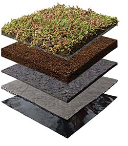 Vegetative Roof: Xero Flor America Inc.