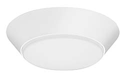 Flush Mount Luminaire: Acuity Brands Lighting