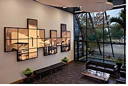 Decorative Wall Panel: USG Corp.