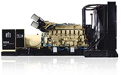 Generator: Kohler Power Systems