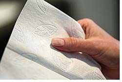 Hand Towels: SCA Tissue North America