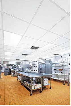Ceiling: Armstrong Commercial Ceilings & Walls