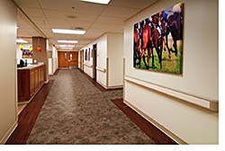 Spray Adhesive: Armstrong Commercial Flooring