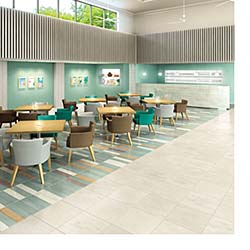 Vinyl Tile: TOLI International