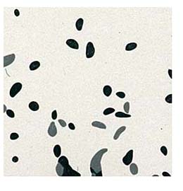 Resilient Flooring: Architectural Systems Inc.