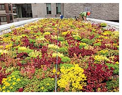 Vegetative Roofing System: Firestone Building Products Co.