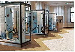 Solid Vinyl Tile: Johnsonite