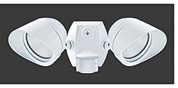 Floodlight: RAB Lighting