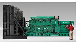 Generator: Cummins Power Generation