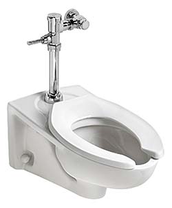 Toilet System: American Standard Brands