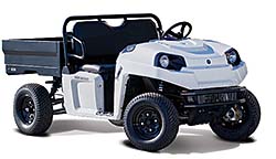Electric Utility Vehicle: Polaris Industries Inc.