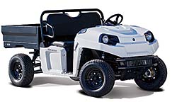 Electric Utility Vehicle: Polaris Industries Inc.