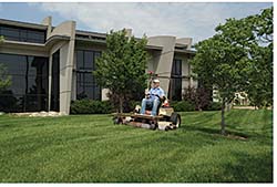 Diesel Mowers: Grasshopper Co.