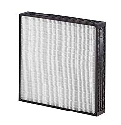 Filters: AAF International (American Air Filter)