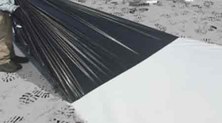 Protective Film Protects TPO Roofing Membrane During Installation: Carlyle SynTec Systems