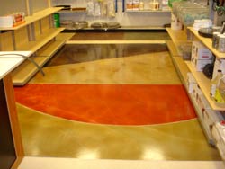 Floor Resurfacing Product Helps Smooth Out Uneven Floors: W.R. Meadows Inc.