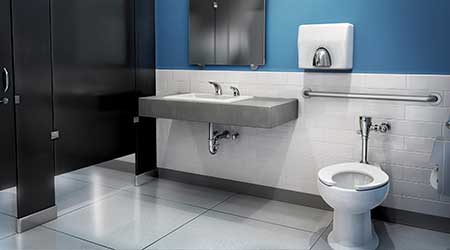 Flush Valve: Moen