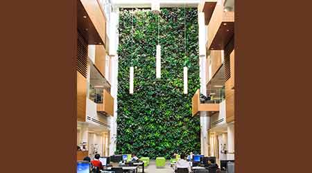 Air Filter: NEDLAW LIVING WALLS