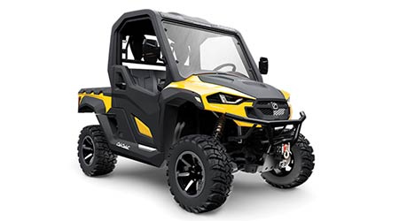 Utility Vehicle: Cub Cadet